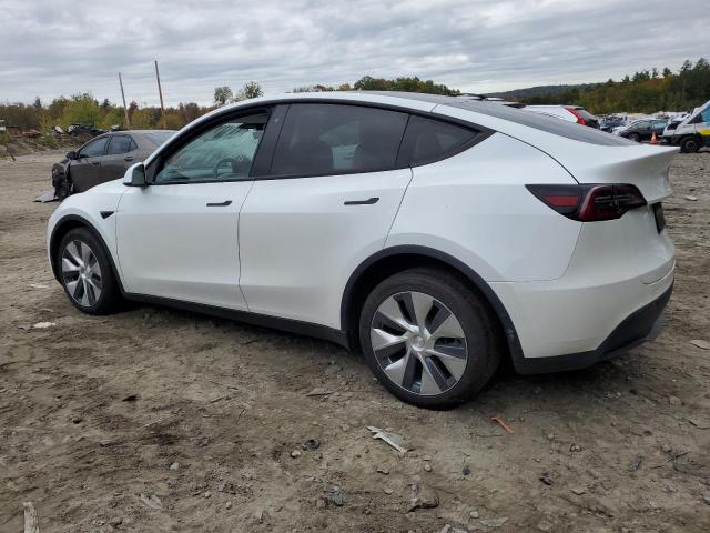 2020 TESLA MODEL Y - 5YJYGDEE4LF027654