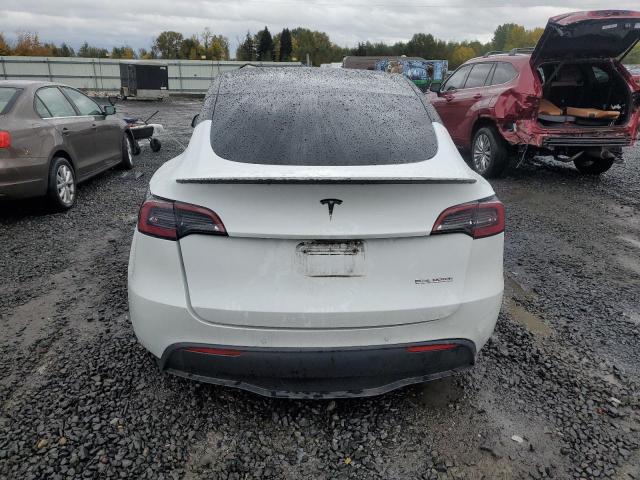 2022 TESLA MODEL Y - 7SAYGDEF6NF493472