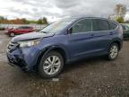 HONDA CR-V EX photo