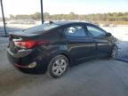 Lot #3024034224 2016 HYUNDAI ELANTRA SE