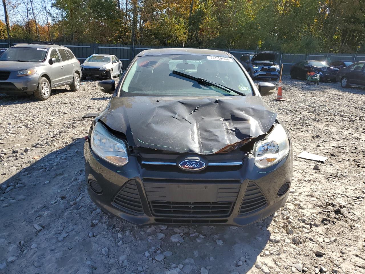 Lot #2945615087 2014 FORD FOCUS SE