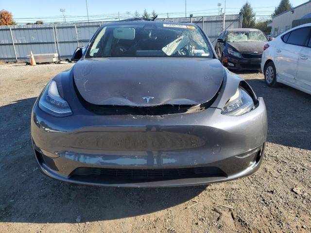 2021 TESLA MODEL Y - 5YJYGDEE1MF062248