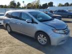 HONDA ODYSSEY EX photo