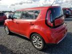 KIA SOUL + photo