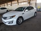 2015 KIA OPTIMA LX - KNAGM4A77F5661684
