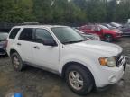 Lot #3024832357 2010 FORD ESCAPE XLT