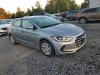 HYUNDAI ELANTRA SE photo