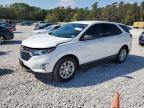 2019 CHEVROLET EQUINOX LS - 2GNAXHEV8K6160132