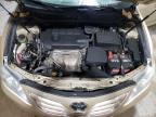 TOYOTA CAMRY BASE photo