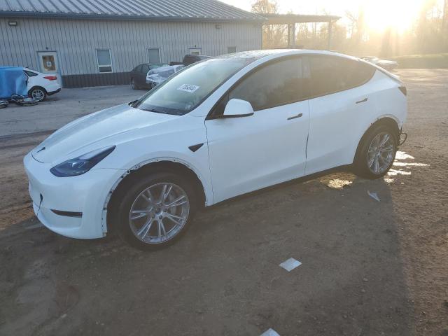 2024 TESLA MODEL Y #2986998782