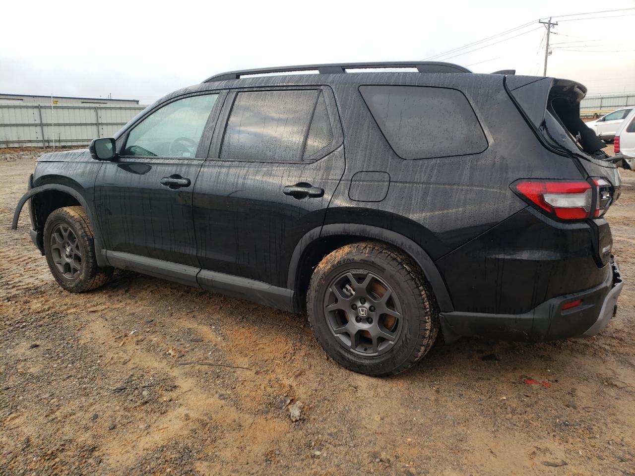 Lot #2978982634 2024 HONDA PILOT TRAI