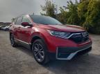 HONDA CR-V EXL photo