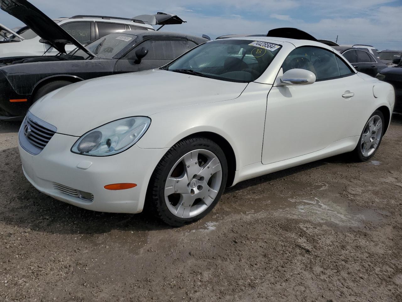 Lot #3006551795 2004 LEXUS SC 430