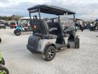 Lot #3037085405 2024 DENA E GOLF CAR