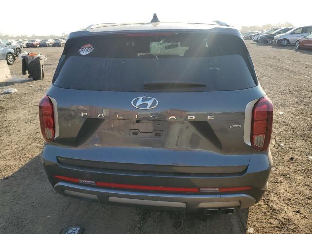 VIN KM8R2DGE1PU499318 2023 HYUNDAI PALISADE no.6