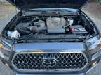 TOYOTA TACOMA DOU photo