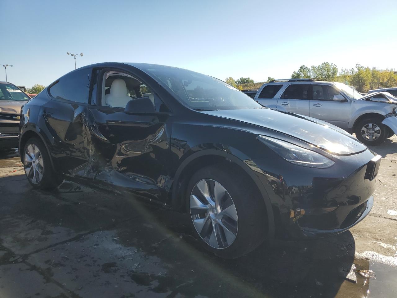 Lot #2972643902 2023 TESLA MODEL Y