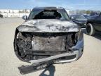 Lot #3004224858 2023 KIA TELLURIDE