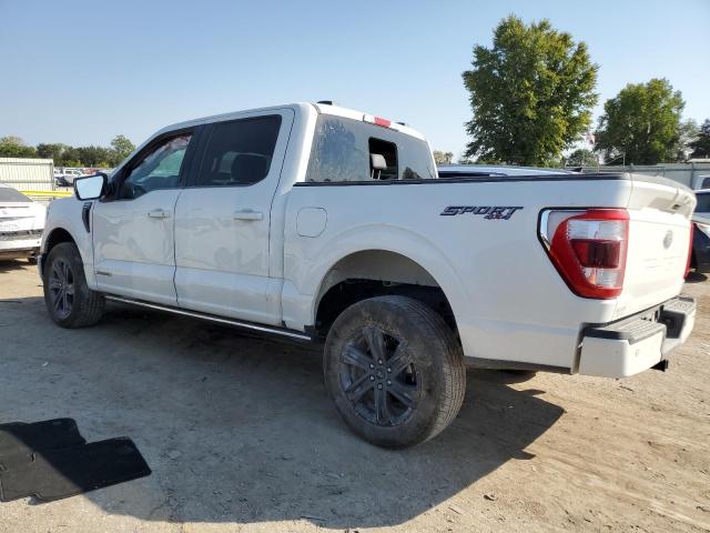2023 FORD F150 SUPER - 1FTFW1ED8PFC72796