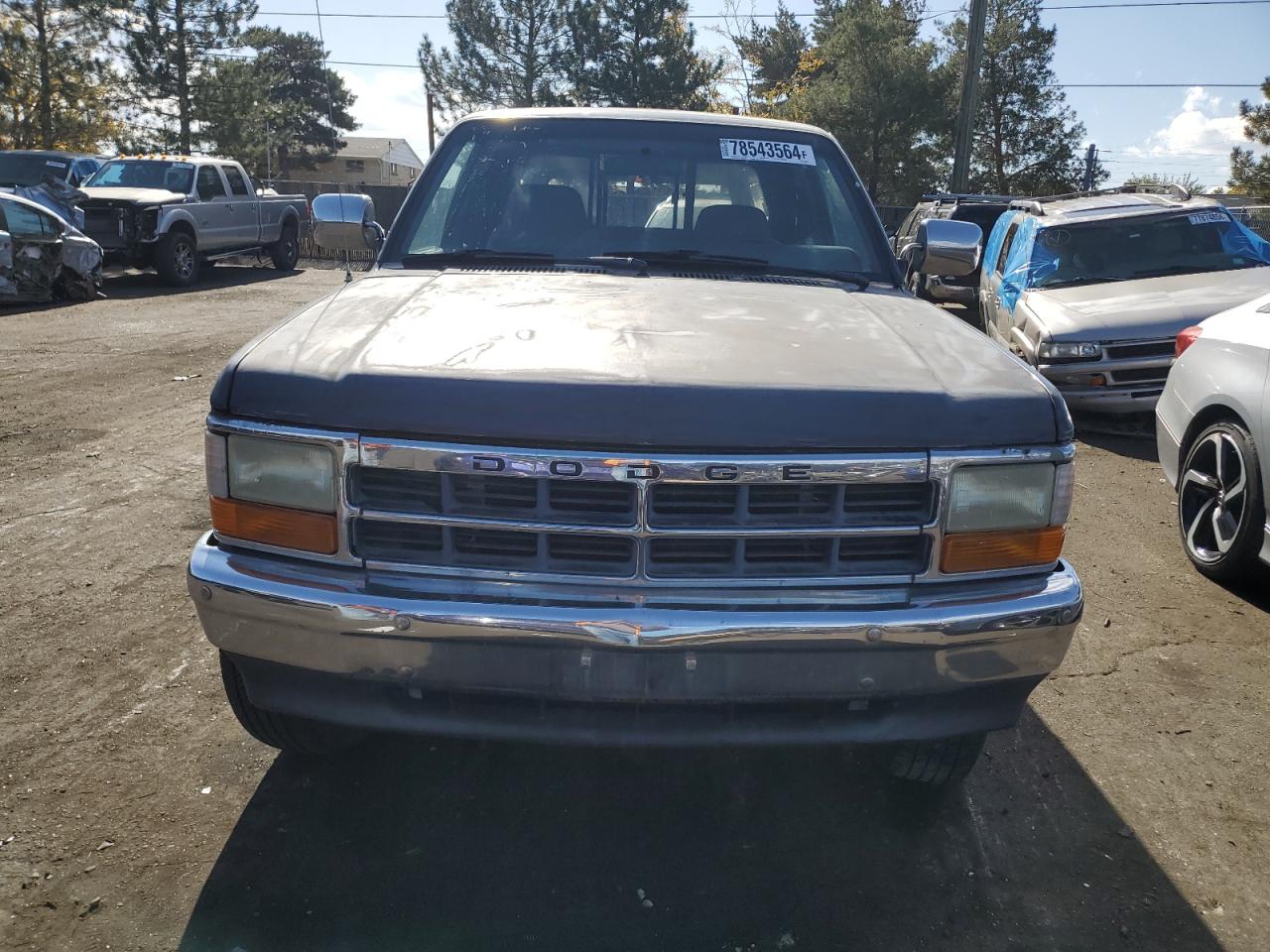 Lot #2991901148 1993 DODGE DAKOTA