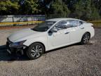 Lot #2957677072 2020 NISSAN ALTIMA S