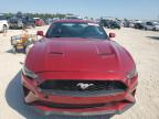 FORD MUSTANG photo