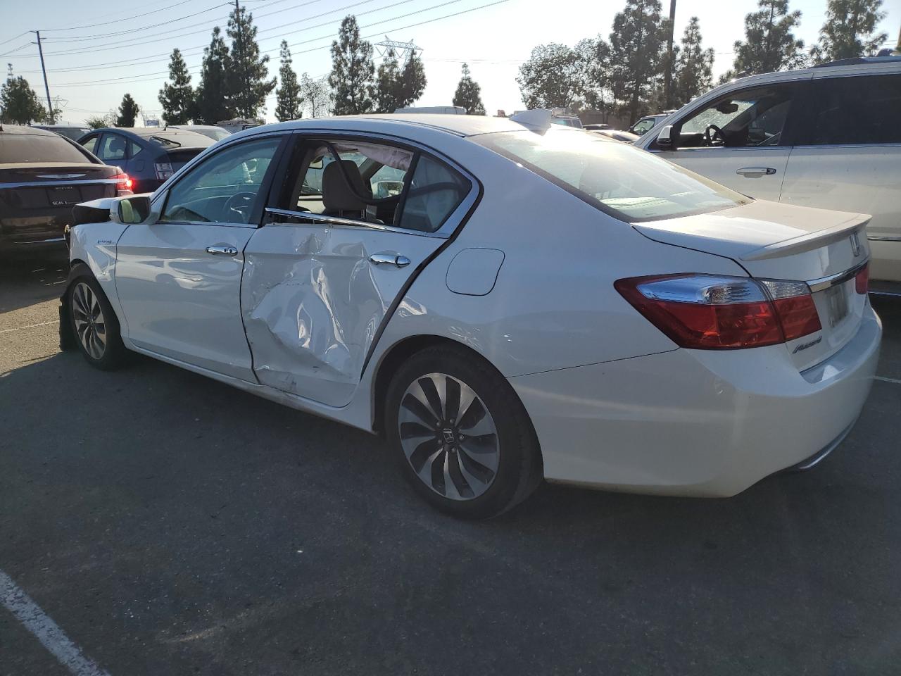 Lot #3024898400 2015 HONDA ACCORD TOU