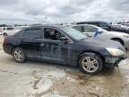 HONDA ACCORD EX photo