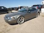 Lot #3023773945 2002 FORD MUSTANG GT