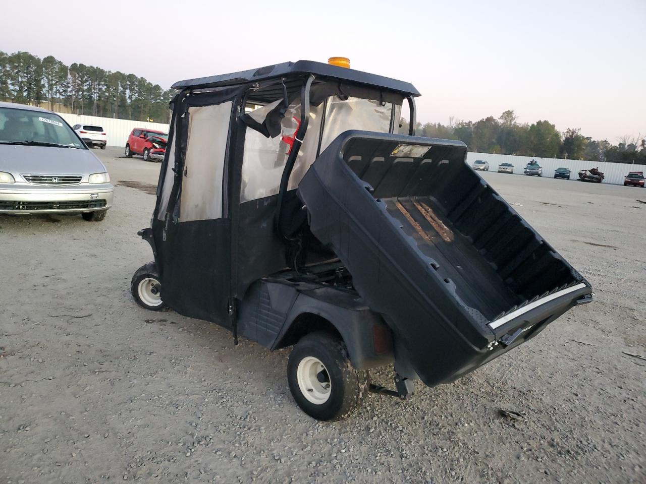 Lot #2990948588 2019 OTHER GOLF CART