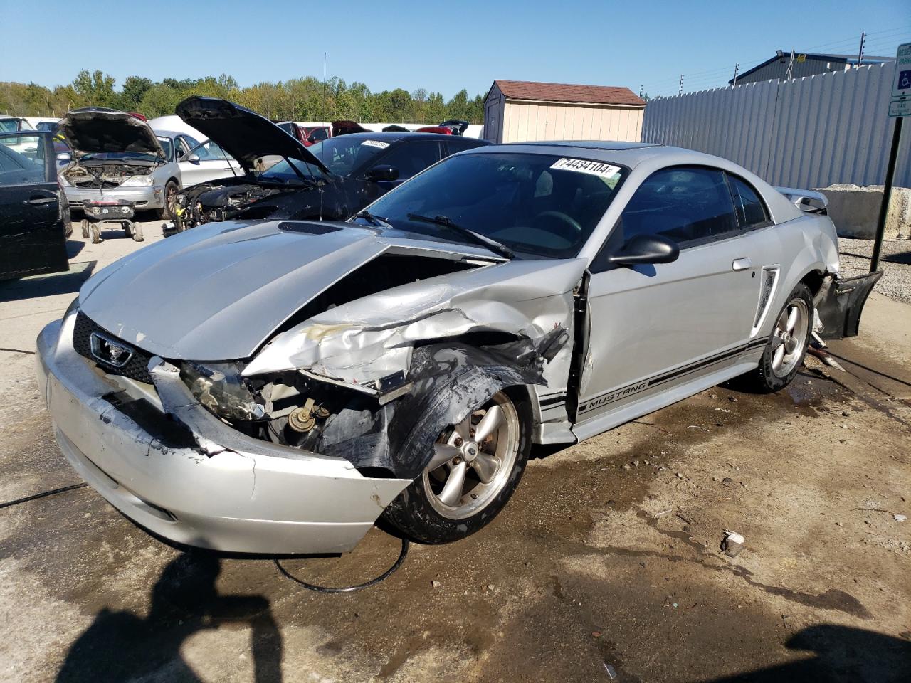 Lot #2955341579 2001 FORD MUSTANG