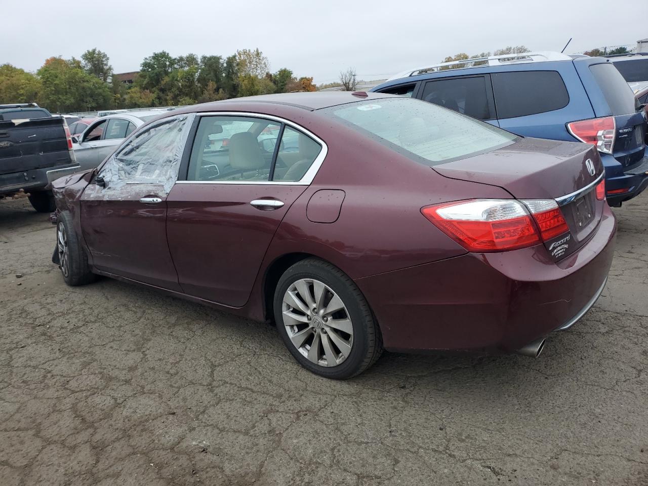 Lot #2974118361 2014 HONDA ACCORD EXL