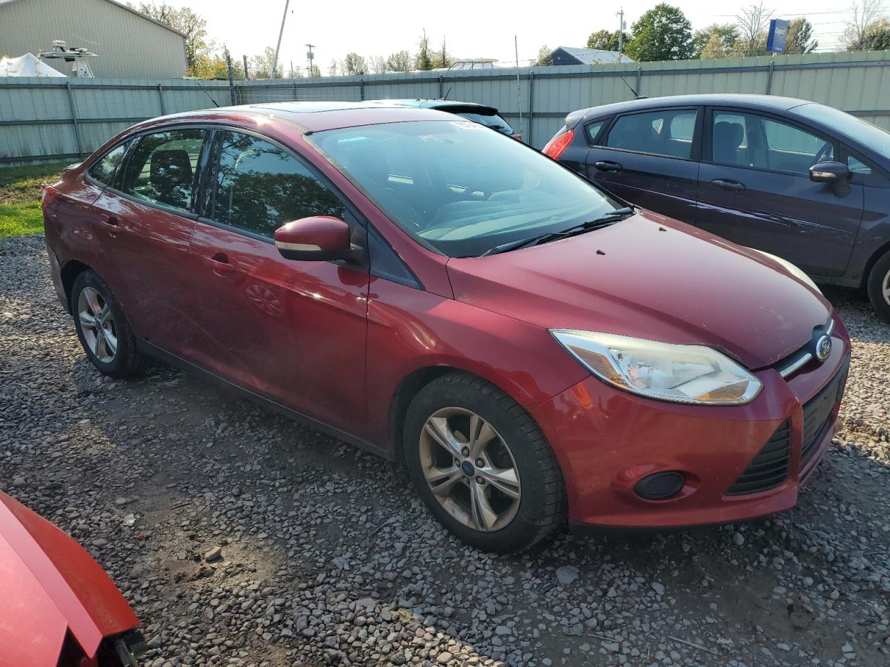 Lot #2902071983 2013 FORD FOCUS SE