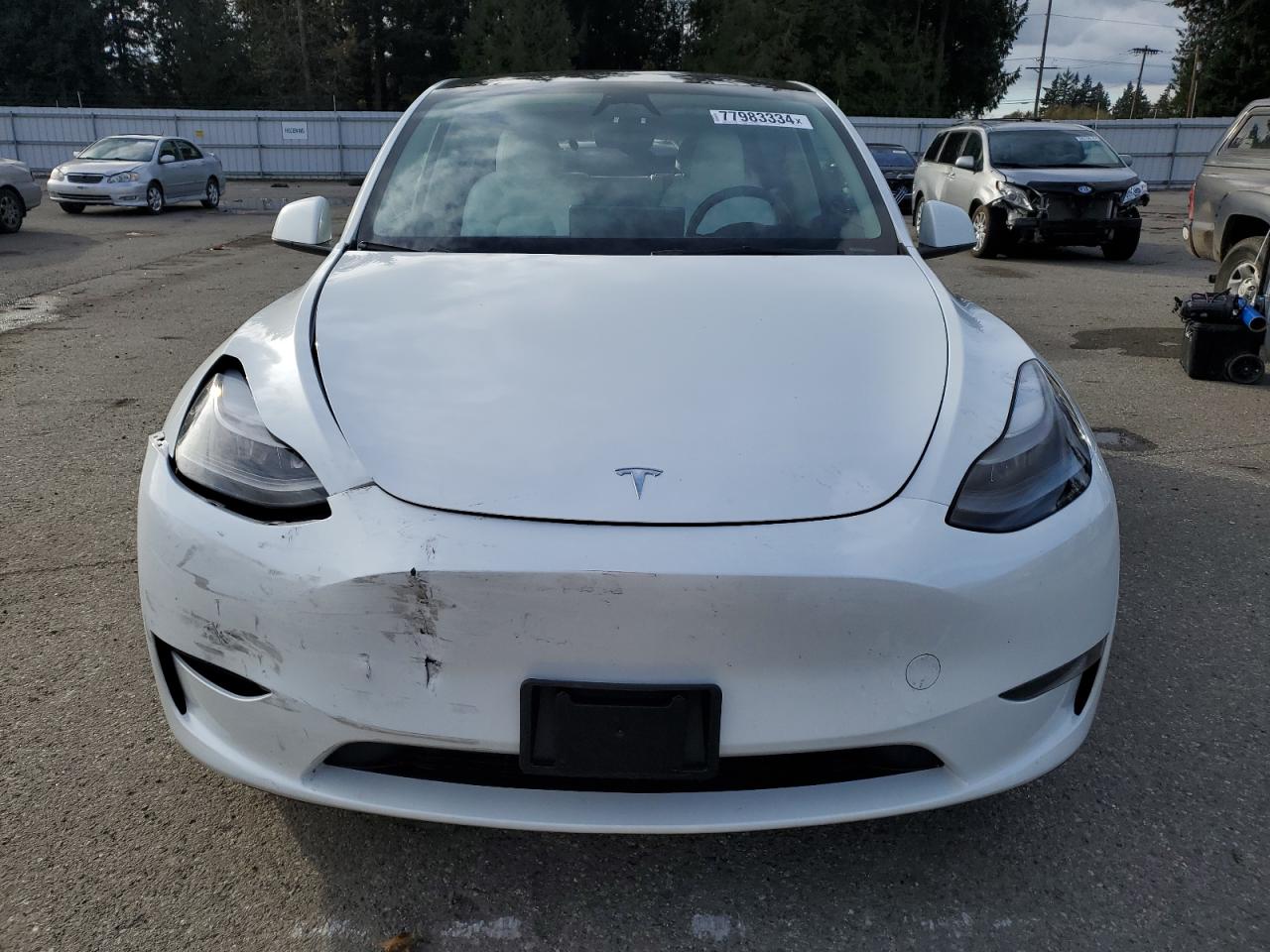 Lot #2989373689 2023 TESLA MODEL Y