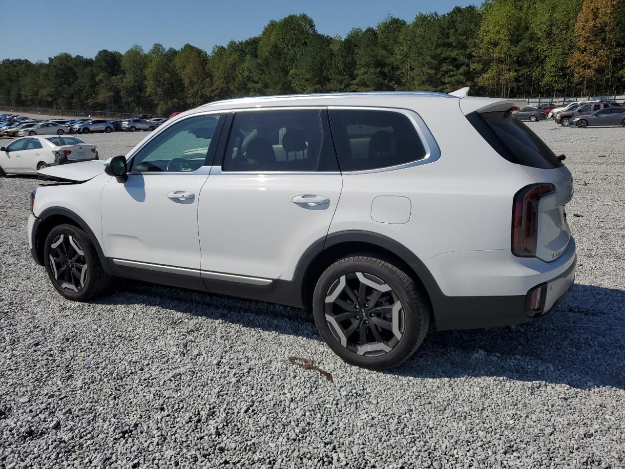 Lot #2921603692 2024 KIA TELLURIDE