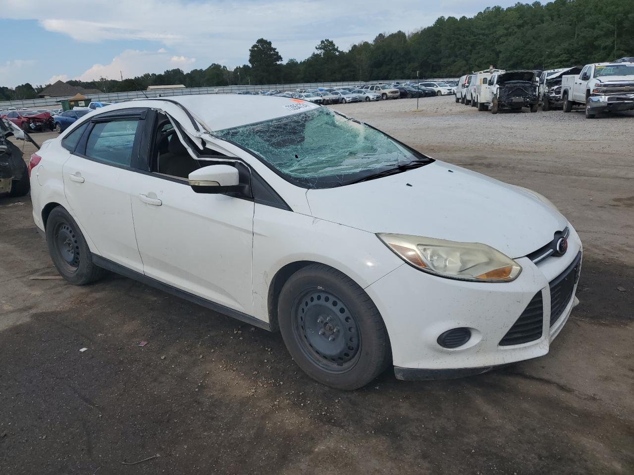 Lot #2907353975 2014 FORD FOCUS SE