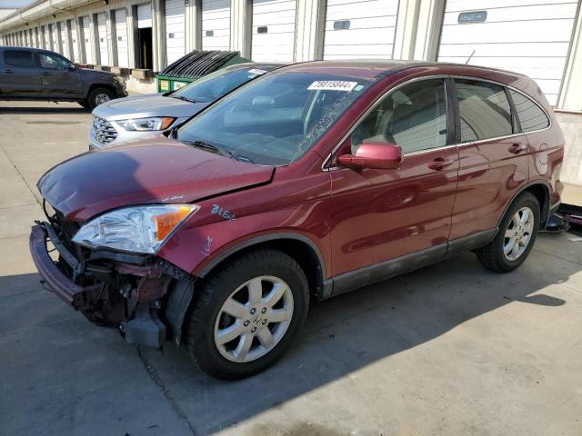 2009 HONDA CR-V EXL #3038879582