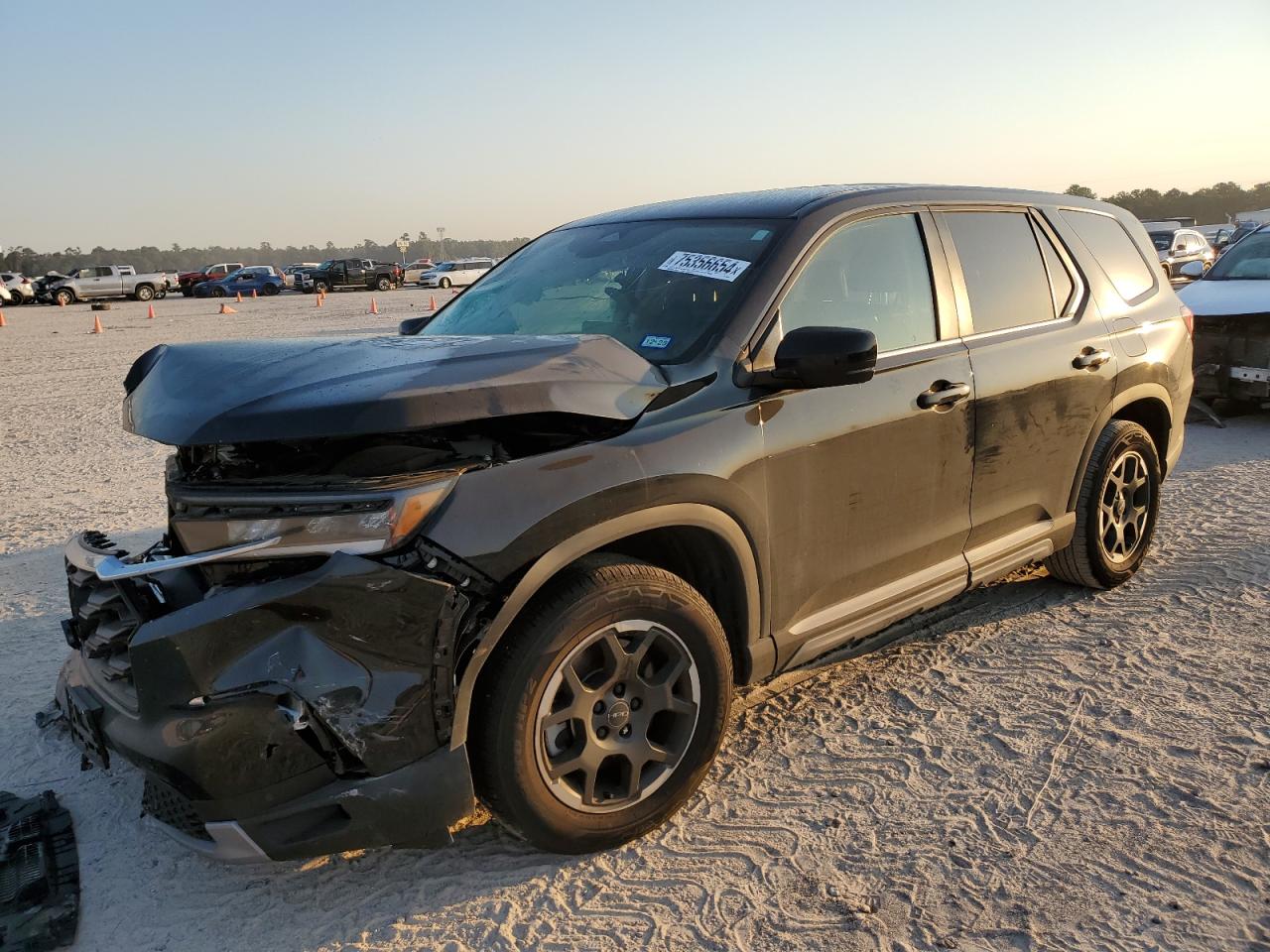 Lot #2986687214 2024 HONDA PILOT EXL