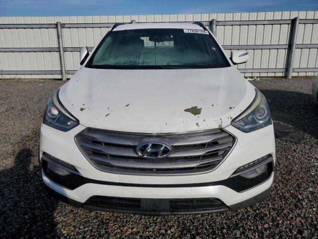 2018 HYUNDAI SANTA FE S - 5NMZU3LBXJH069547