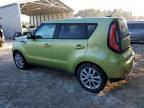 KIA SOUL + photo