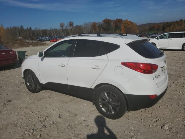 2015 HYUNDAI TUCSON LIM - KM8JUCAG2FU013450