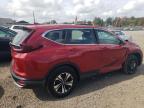 HONDA CR-V SE photo