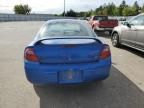 Lot #3023620235 2005 DODGE NEON SXT