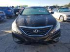 Lot #3023930212 2013 HYUNDAI SONATA GLS