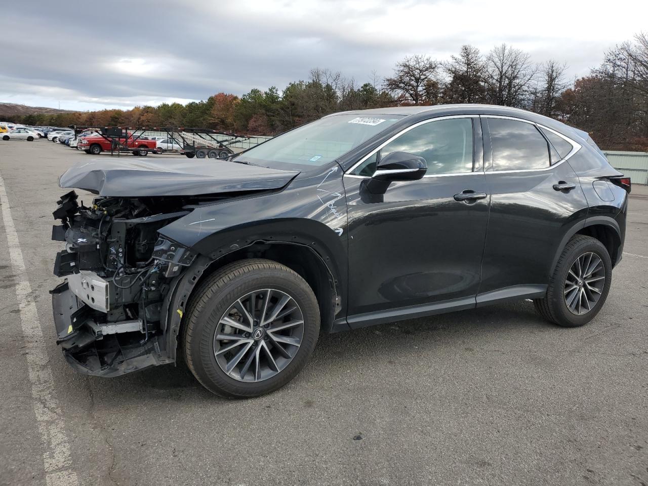 Lot #3049497698 2024 LEXUS NX 350 BAS