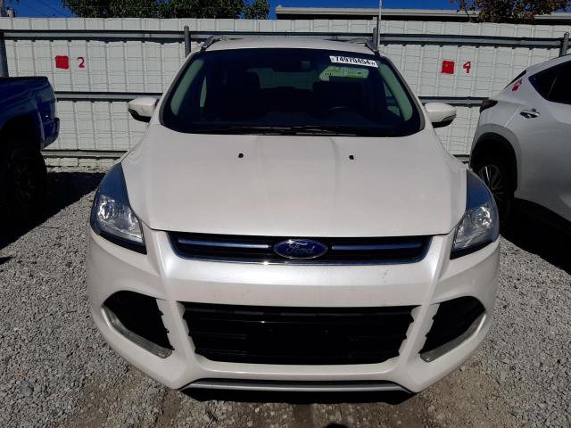 VIN 1FMCU9JXXEUD29995 2014 Ford Escape, Titanium no.5