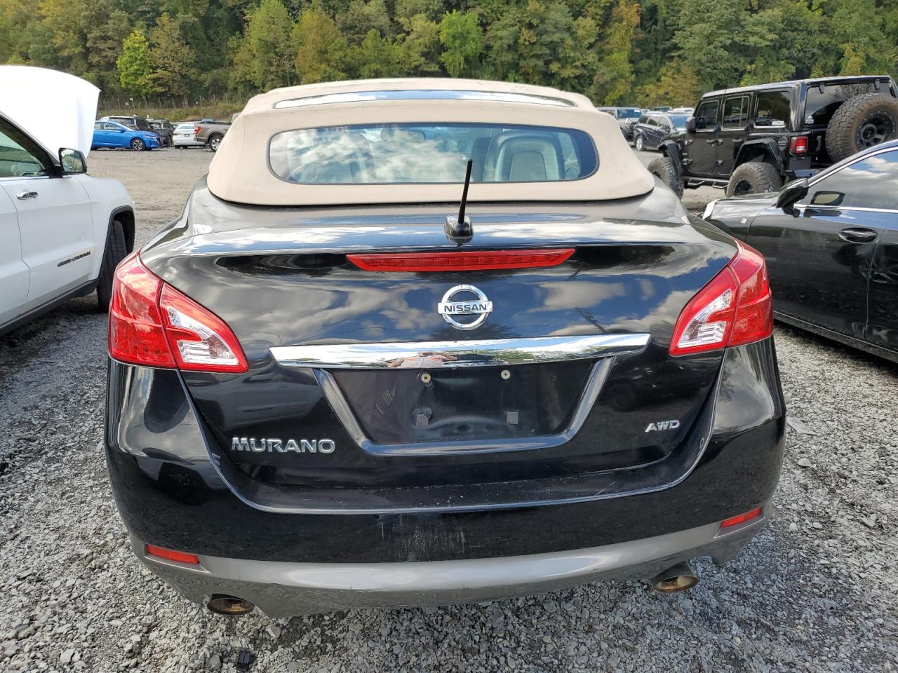 Lot #2874358956 2014 NISSAN MURANO CRO