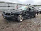 Lot #3024292870 1999 FORD MUSTANG