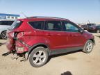 FORD ESCAPE SE photo