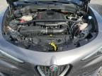 ALFA ROMEO STELVIO photo